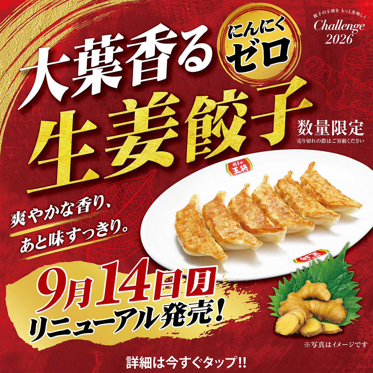 爽やかな新定番 !「にんにくゼロ生姜餃子」リニューアルのお知らせ