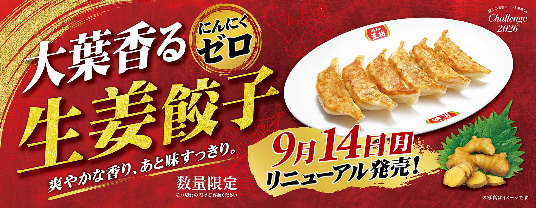 2609zero_gyoza_infopage.jpg